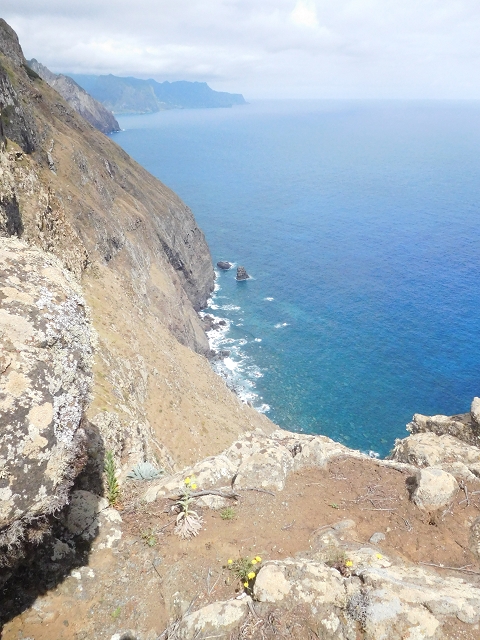 23 June 2016 Canical - Boca do Risco — On the cliff path as far as the Pico das Rocadas and on to the saddle — photo 9