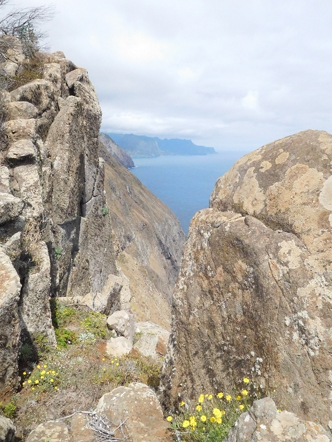 23 June 2016 Canical - Boca do Risco — On the cliff path as far as the Pico das Rocadas and on to the saddle — photo 10