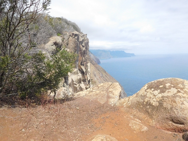 23 June 2016 Canical - Boca do Risco — On the cliff path as far as the Pico das Rocadas and on to the saddle — photo 11