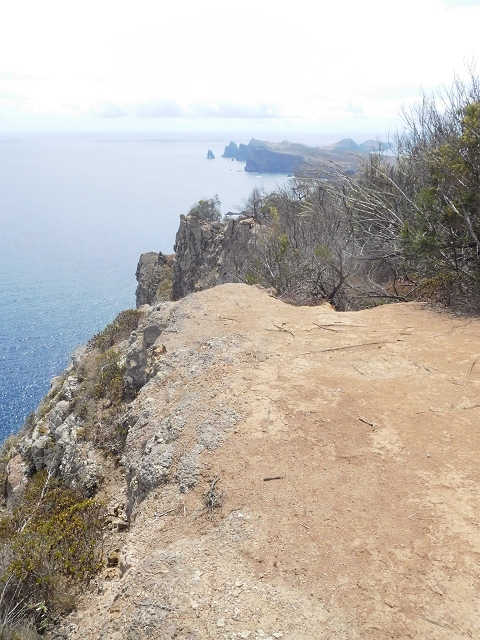 23 June 2016 Canical - Boca do Risco — On the cliff path as far as the Pico das Rocadas and on to the saddle — photo 12