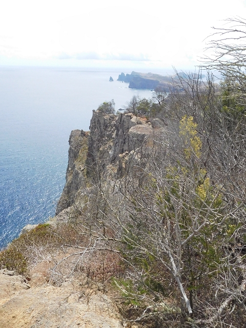 23 June 2016 Canical - Boca do Risco — On the cliff path as far as the Pico das Rocadas and on to the saddle — photo 13