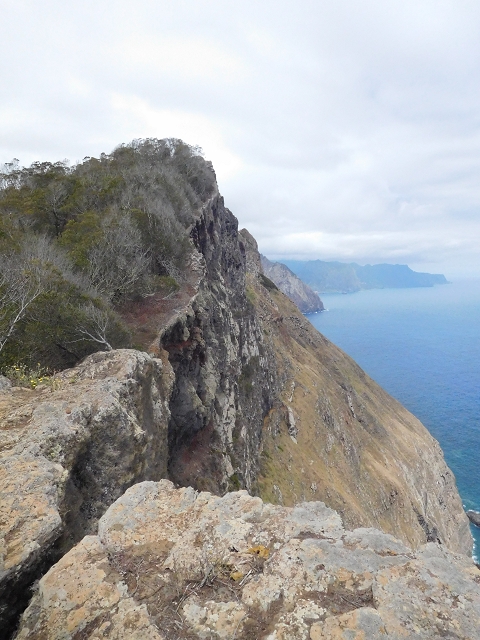 23 June 2016 Canical - Boca do Risco — On the cliff path as far as the Pico das Rocadas and on to the saddle — photo 14