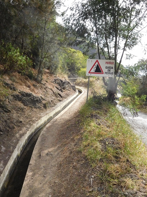 23 June 2016 Canical - Boca do Risco — On the Levada do Canical as far as the end — photo 5