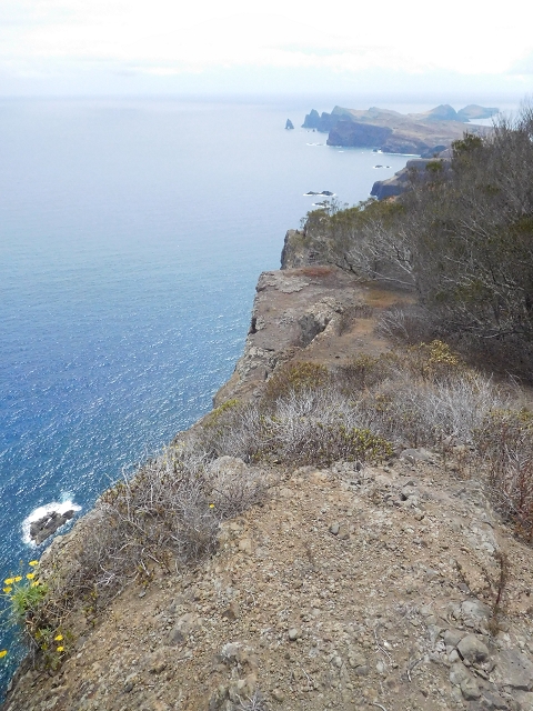 23 June 2016 Canical - Boca do Risco — On the cliff path as far as the Pico das Rocadas and on to the saddle — photo 15
