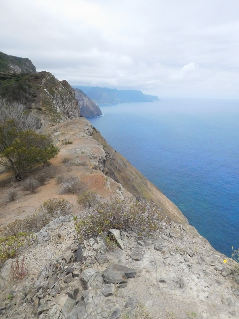 23 June 2016 Canical - Boca do Risco — On the cliff path as far as the Pico das Rocadas and on to the saddle — photo 16