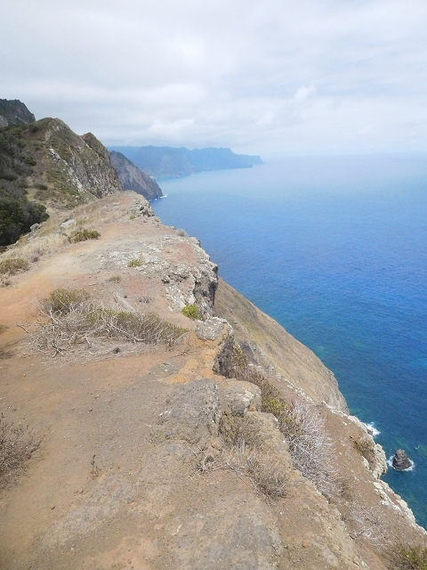 23 June 2016 Canical - Boca do Risco — On the cliff path as far as the Pico das Rocadas and on to the saddle — photo 17