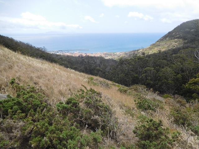 23 June 2016 Canical - Boca do Risco — On the cliff path as far as the Pico das Rocadas and on to the saddle — photo 19
