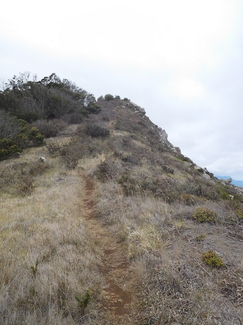 23 June 2016 Canical - Boca do Risco — On the cliff path as far as the Pico das Rocadas and on to the saddle — photo 21