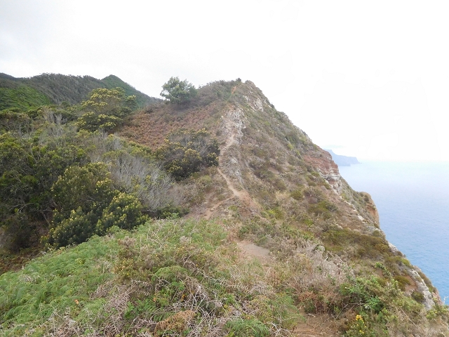 23 June 2016 Canical - Boca do Risco — On the cliff path as far as the Pico das Rocadas and on to the saddle — photo 22