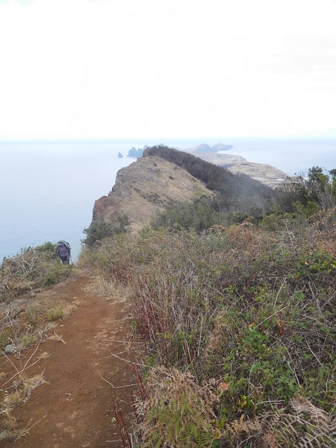 23 June 2016 Canical - Boca do Risco — On the cliff path as far as the Pico das Rocadas and on to the saddle — photo 23