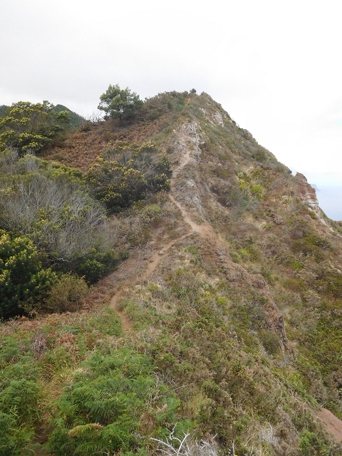 23 June 2016 Canical - Boca do Risco — On the cliff path as far as the Pico das Rocadas and on to the saddle — photo 24