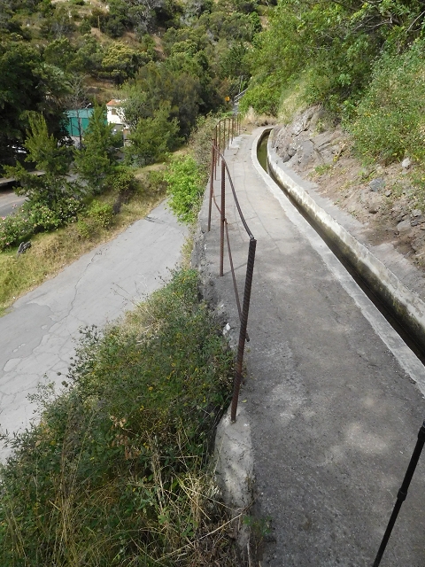 23 June 2016 Canical - Boca do Risco — On the Levada do Canical as far as the end — photo 6