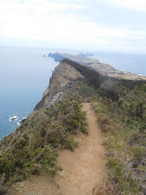 23 June 2016 Canical - Boca do Risco — On the cliff path as far as the Pico das Rocadas and on to the saddle — photo 25
