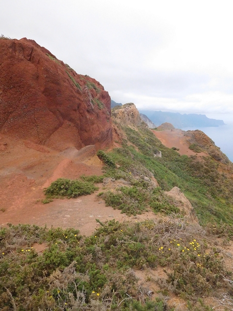 23 June 2016 Canical - Boca do Risco — On the cliff path as far as the Pico das Rocadas and on to the saddle — photo 27