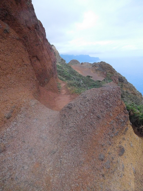 23 June 2016 Canical - Boca do Risco — On the cliff path as far as the Pico das Rocadas and on to the saddle — photo 28
