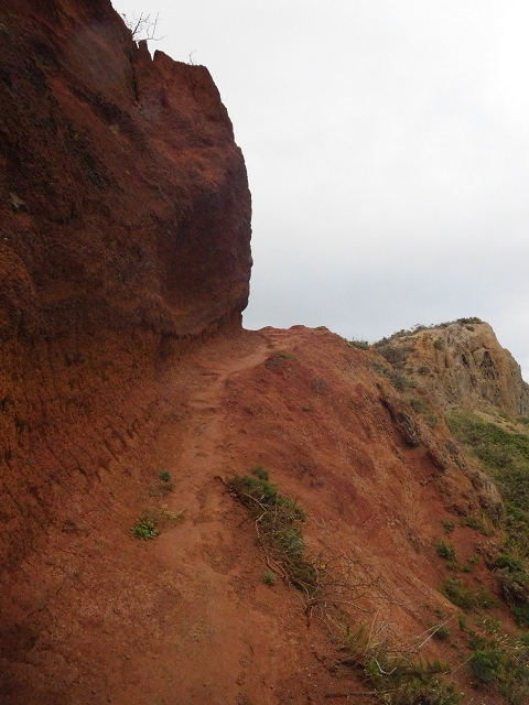 23 June 2016 Canical - Boca do Risco — On the cliff path as far as the Pico das Rocadas and on to the saddle — photo 29