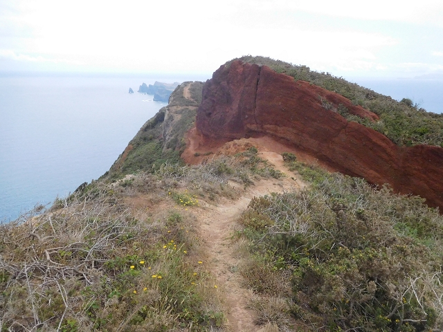 23 June 2016 Canical - Boca do Risco — On the cliff path as far as the Pico das Rocadas and on to the saddle — photo 32