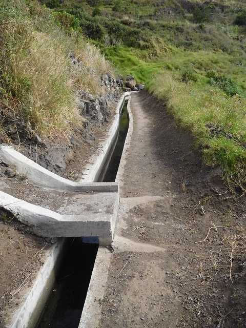 23 June 2016 Canical - Boca do Risco — On the Levada do Canical as far as the end — photo 7