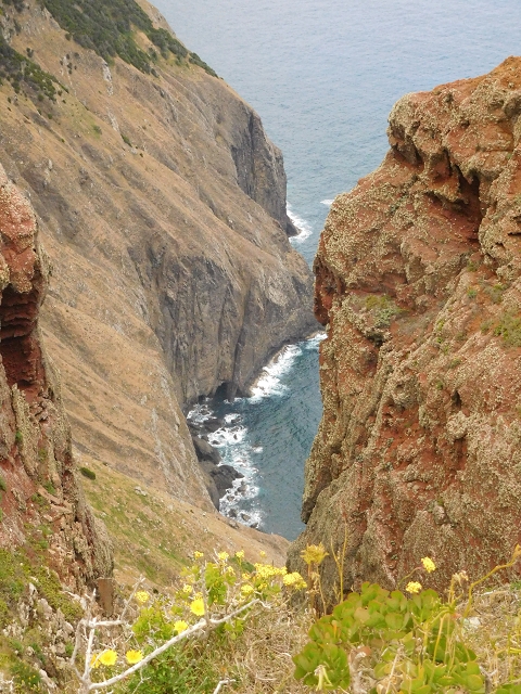 23 June 2016 Canical - Boca do Risco — On the cliff path as far as the Pico das Rocadas and on to the saddle — photo 36