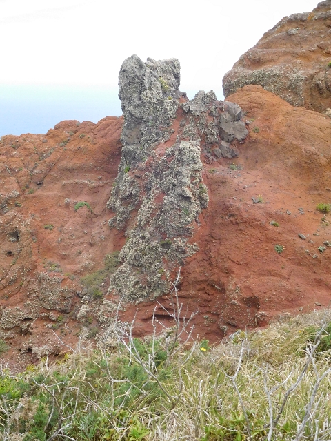 23 June 2016 Canical - Boca do Risco — On the cliff path as far as the Pico das Rocadas and on to the saddle — photo 37
