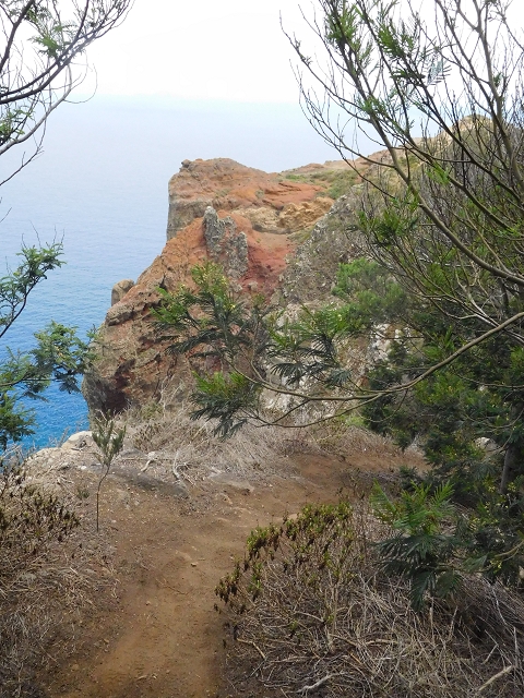23 June 2016 Canical - Boca do Risco — On the cliff path as far as the Pico das Rocadas and on to the saddle — photo 40