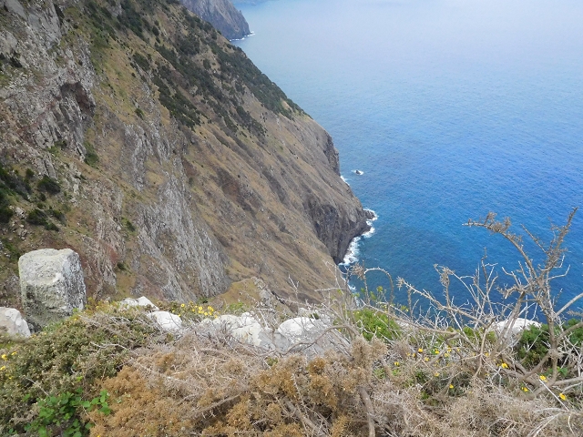 23 June 2016 Canical - Boca do Risco — On the cliff path as far as the Pico das Rocadas and on to the saddle — photo 43