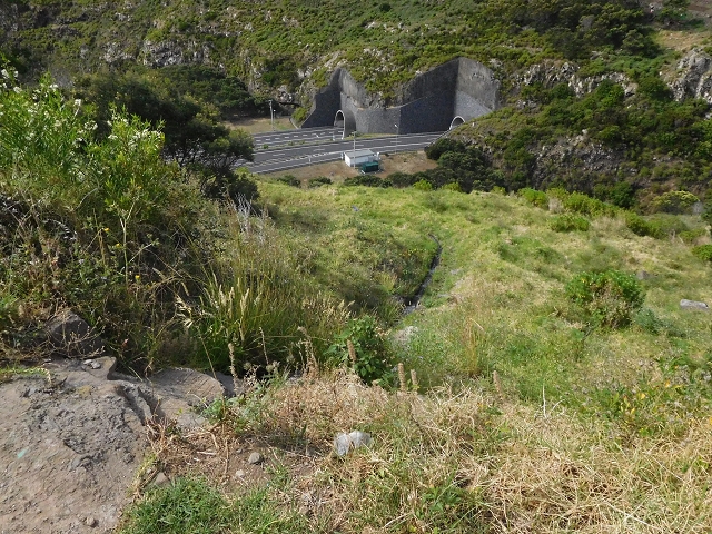 23 June 2016 Canical - Boca do Risco — On the Levada do Canical as far as the end — photo 8