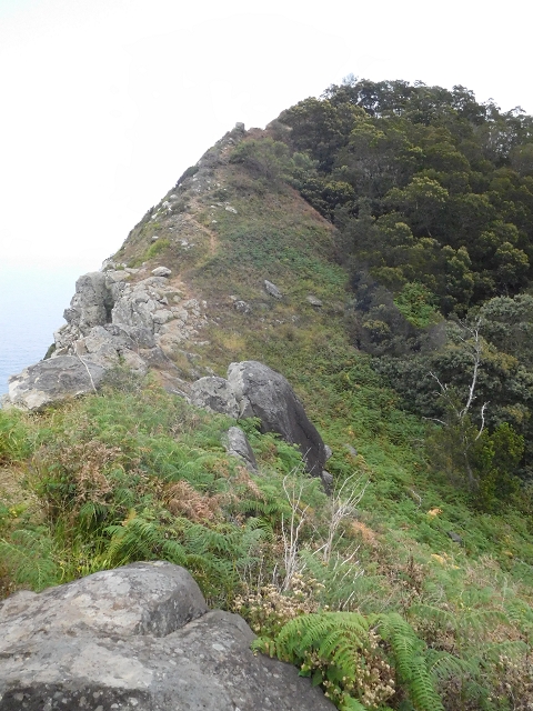 23 June 2016 Canical - Boca do Risco — On the cliff path as far as the Pico das Rocadas and on to the saddle — photo 46