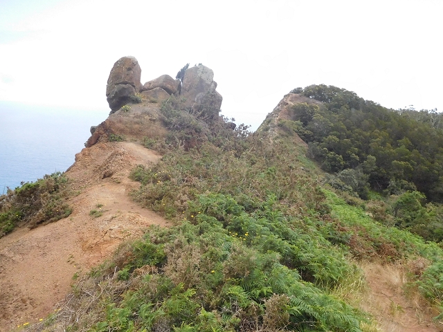 23 June 2016 Canical - Boca do Risco — From the saddle after the Pico das Rocadas to the ridge — photo 1