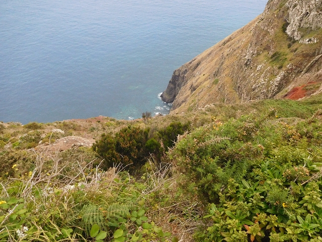 23 June 2016 Canical - Boca do Risco — From the saddle after the Pico das Rocadas to the ridge — photo 6