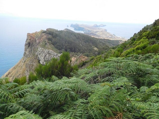 23 June 2016 Canical - Boca do Risco — From the saddle after the Pico das Rocadas to the ridge — photo 7