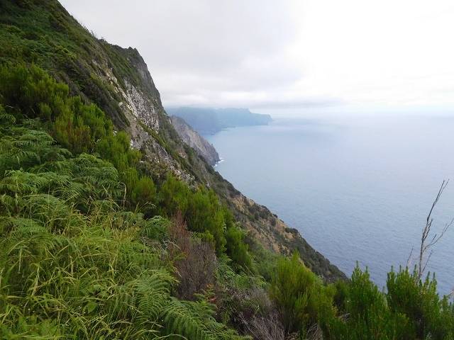 23 June 2016 Canical - Boca do Risco — From the saddle after the Pico das Rocadas to the ridge — photo 9