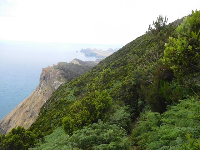 23 June 2016 Canical - Boca do Risco — From the saddle after the Pico das Rocadas to the ridge — photo 12