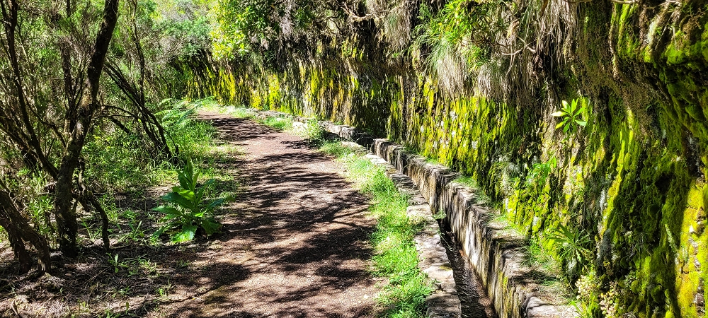 23 June 2024 Colour above the fog — The various inflows to the Levada da Serra — photo 3