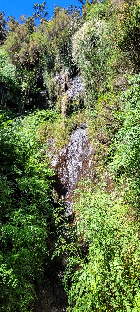 23 June 2024 Colour above the fog — The various inflows to the Levada da Serra — photo 4