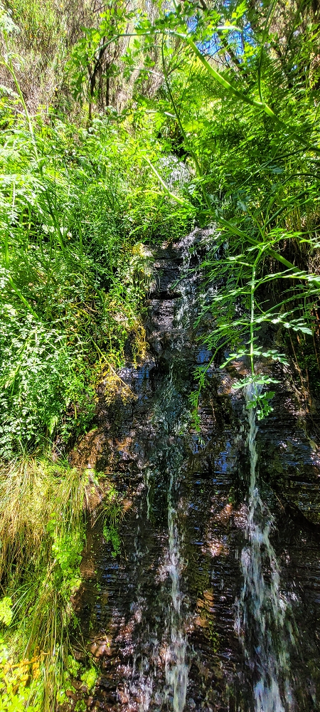 23 June 2024 Colour above the fog — The various inflows to the Levada da Serra — photo 5