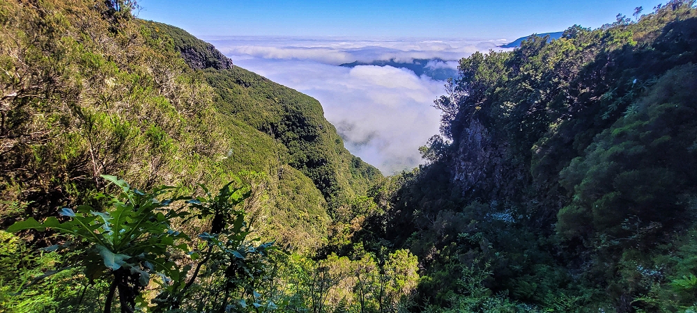 23 June 2024 Colour above the fog — To the Pinaculo and a little further — photo 1