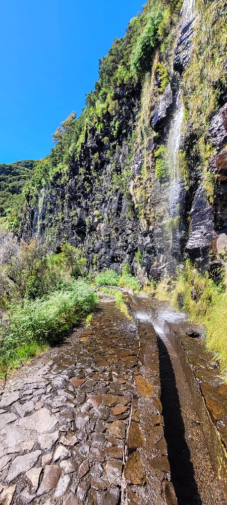 23 June 2024 Colour above the fog — To the Pinaculo and a little further — photo 2