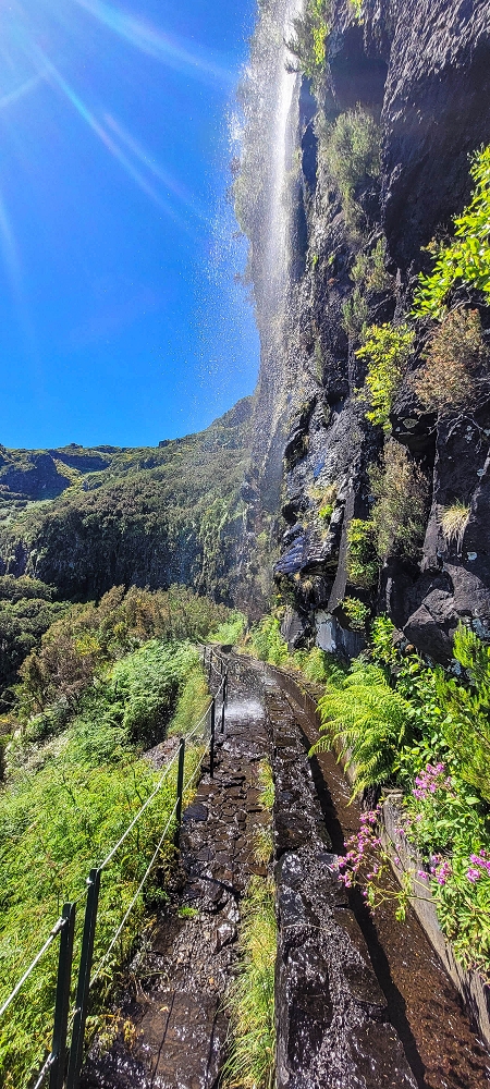 23 June 2024 Colour above the fog — To the Pinaculo and a little further — photo 3