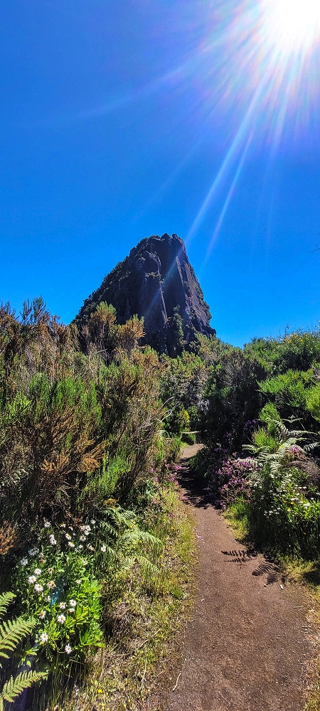 23 June 2024 Colour above the fog — To the Pinaculo and a little further — photo 7