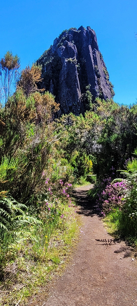 23 June 2024 Colour above the fog — Back to the waterfalls — photo 4
