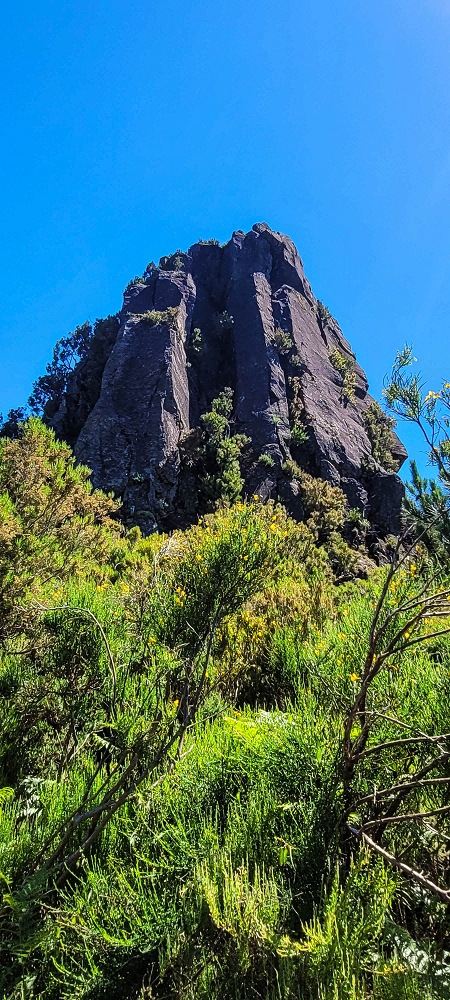 23 June 2024 Colour above the fog — To the Pinaculo and a little further — photo 8