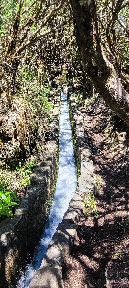 23 June 2024 Colour above the fog — To the Pinaculo and a little further — photo 9