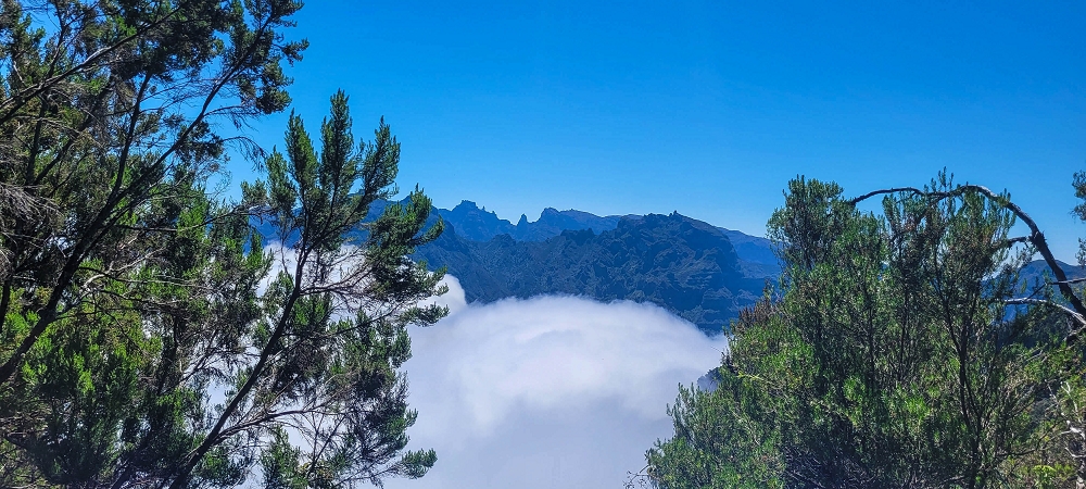 23 June 2024 Colour above the fog — To the Pinaculo and a little further — photo 10