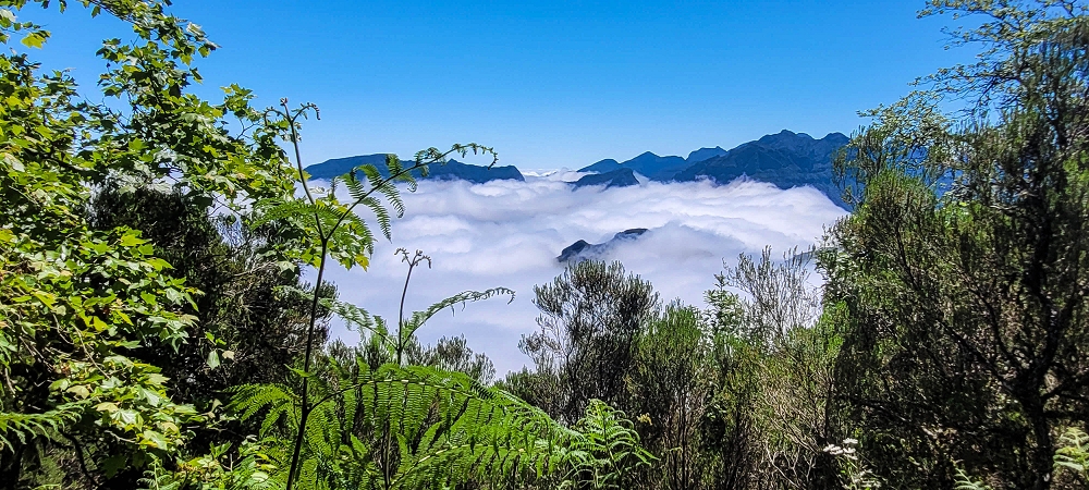 23 June 2024 Colour above the fog — To the Pinaculo and a little further — photo 13