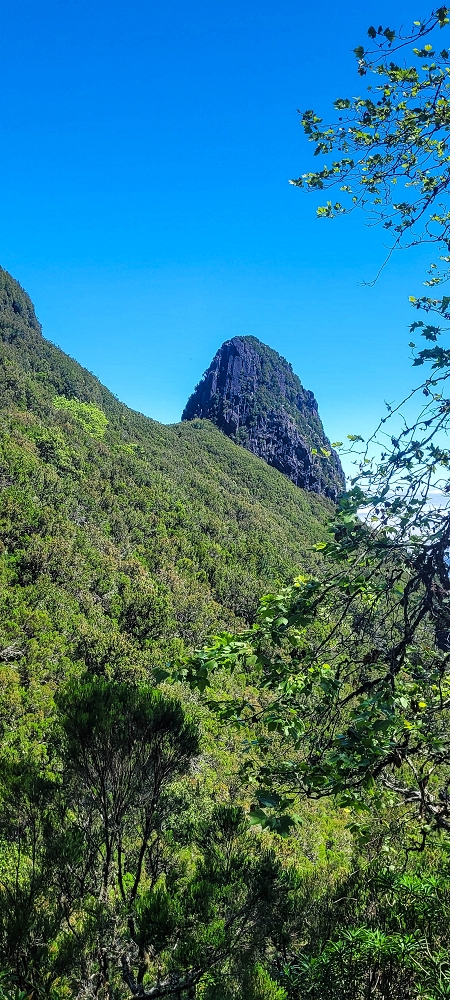 23 June 2024 Colour above the fog — To the Pinaculo and a little further — photo 14