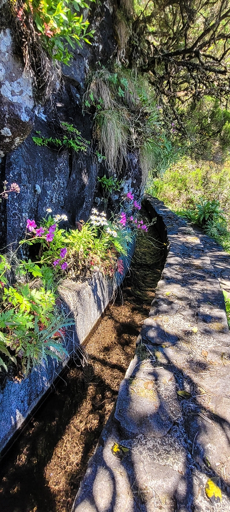 23 June 2024 Colour above the fog — To the Pinaculo and a little further — photo 15