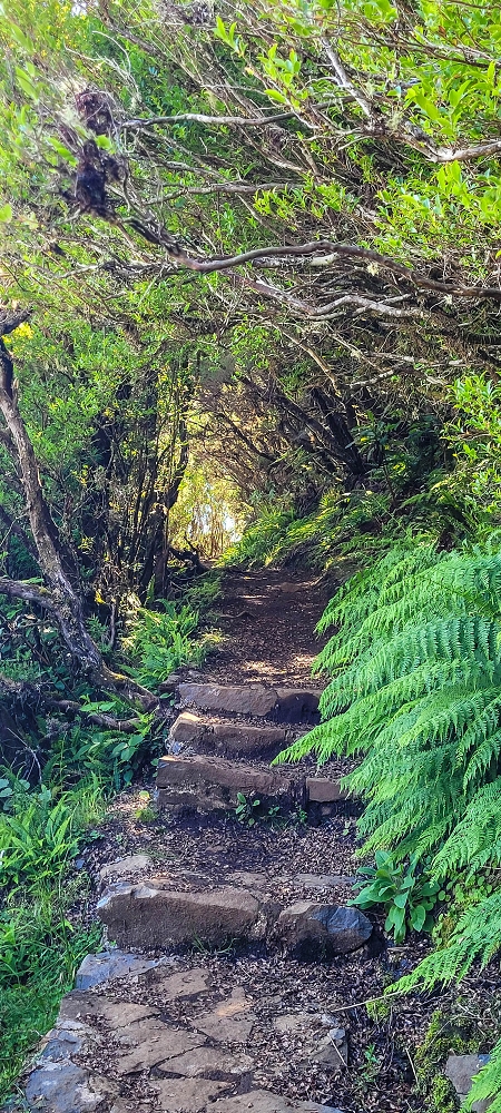 23 June 2024 Colour above the fog — The descent — photo 3