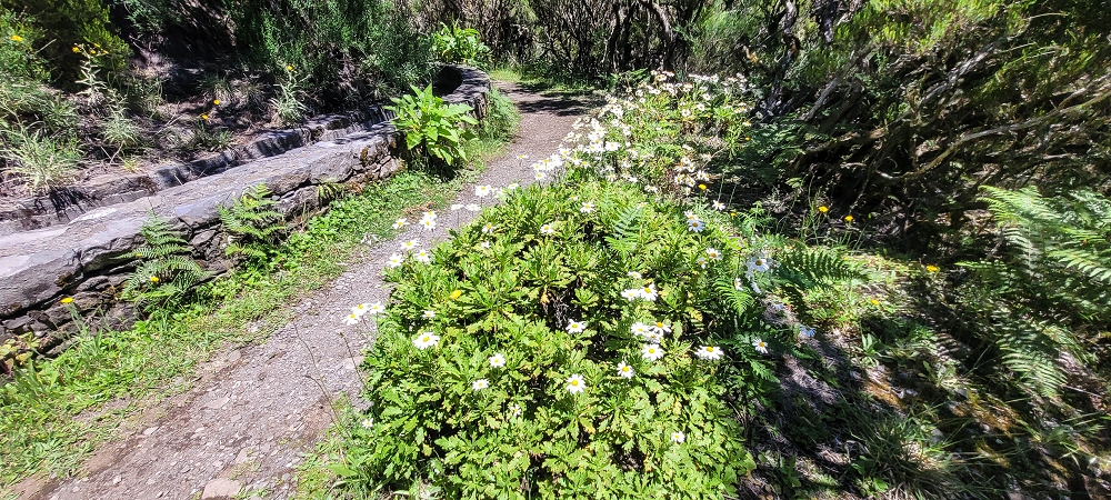 23 June 2024 Colour above the fog — Back to the waterfalls — photo 3