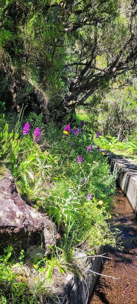 23 June 2024 Colour above the fog — Back to the waterfalls — photo 5
